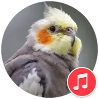 Cockatiel Sounds icon