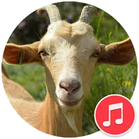 Goat Sounds icon