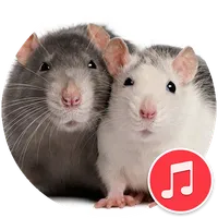 Mouse and Rat Sounds icon