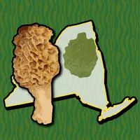Adirondack Mushroom Forager NY icon