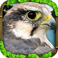 Falcon Simulator icon