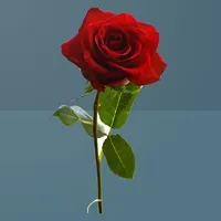 ilahi dinle icon
