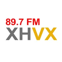 Grupo-VX icon