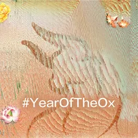YearOfTheOx icon