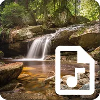 Nature soundscapes — relax icon