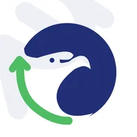 Gowin Option icon