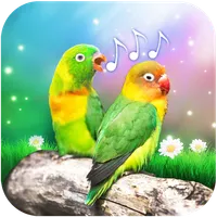 Bird Sounds and Ringtones icon