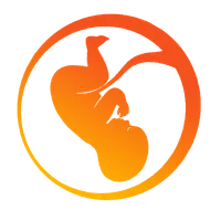Embryology icon