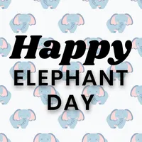 Elephant Day Card & Wishes icon