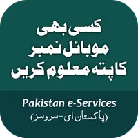 Online E-Services icon