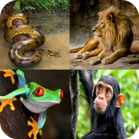 Animal Quiz: Guess the Animal icon