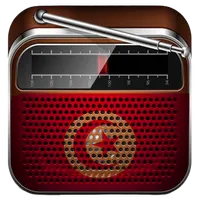 radio tounsi icon