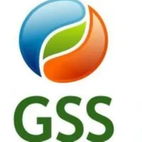 Gss Investimentos icon