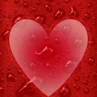 Valentine Day Wishes icon