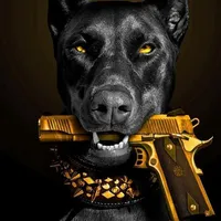 Gun Wallpapers icon