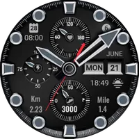 Analog Sport V12 icon