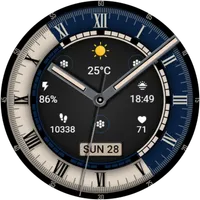 Classic Signature 11 icon