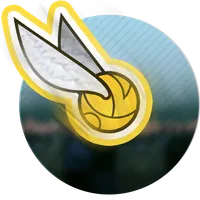 Flappy Quidditch icon