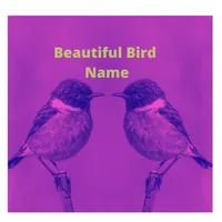 Beautiful Bird Name icon
