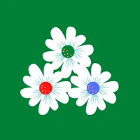 Winter Flowers icon