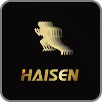 HAISEN SMART icon