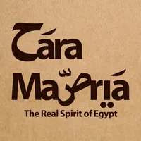حارة مصرية icon