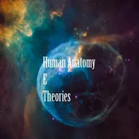 Human Anatomy E Theories icon