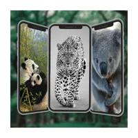 Animal Wallpapers in4K,HD icon