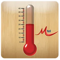 Thermometer icon