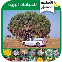 الأطلس المصور للنباتات البرية icon
