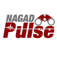 Nagad Pulse MR icon