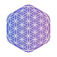 De-Bi icon