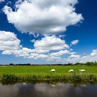 Weather in Holland: the app icon