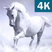 Horses Wallpapers HD Live Beau icon