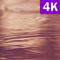 Fondos de Oro Rosa HD Bonitos  icon