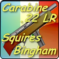 Carabine Squires Bingham 20 icon