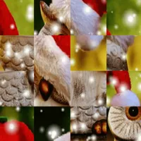 Sort Photos icon