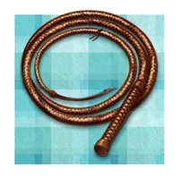 Whip Pro icon