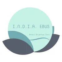 Basic INDIA EBUS icon