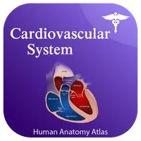 Cardiovascular Anatomy Atlas icon