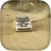 Rally Car Racing Simulator 3D icon