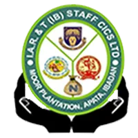 IART STAFF CICS icon