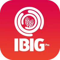 IBigPro icon