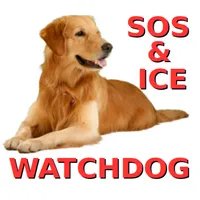ICE - In Case of Emergency - P icon