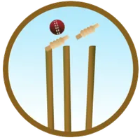 Cricket 2015 icon