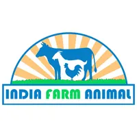 India Farm Animal icon