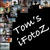 iFotoZ icon