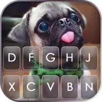 Cute Tongue Pug Keyboard Backg icon