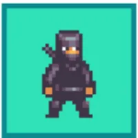 Gravity Ninja icon
