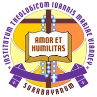 Imavi icon